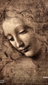 La Scapigliata Leonardo Da Vinci Art Print