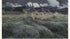 Landscape - Louis Patru Art Prints