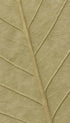 Leaf Texture Botanical Poster