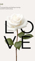 Love Flower Typography Poster