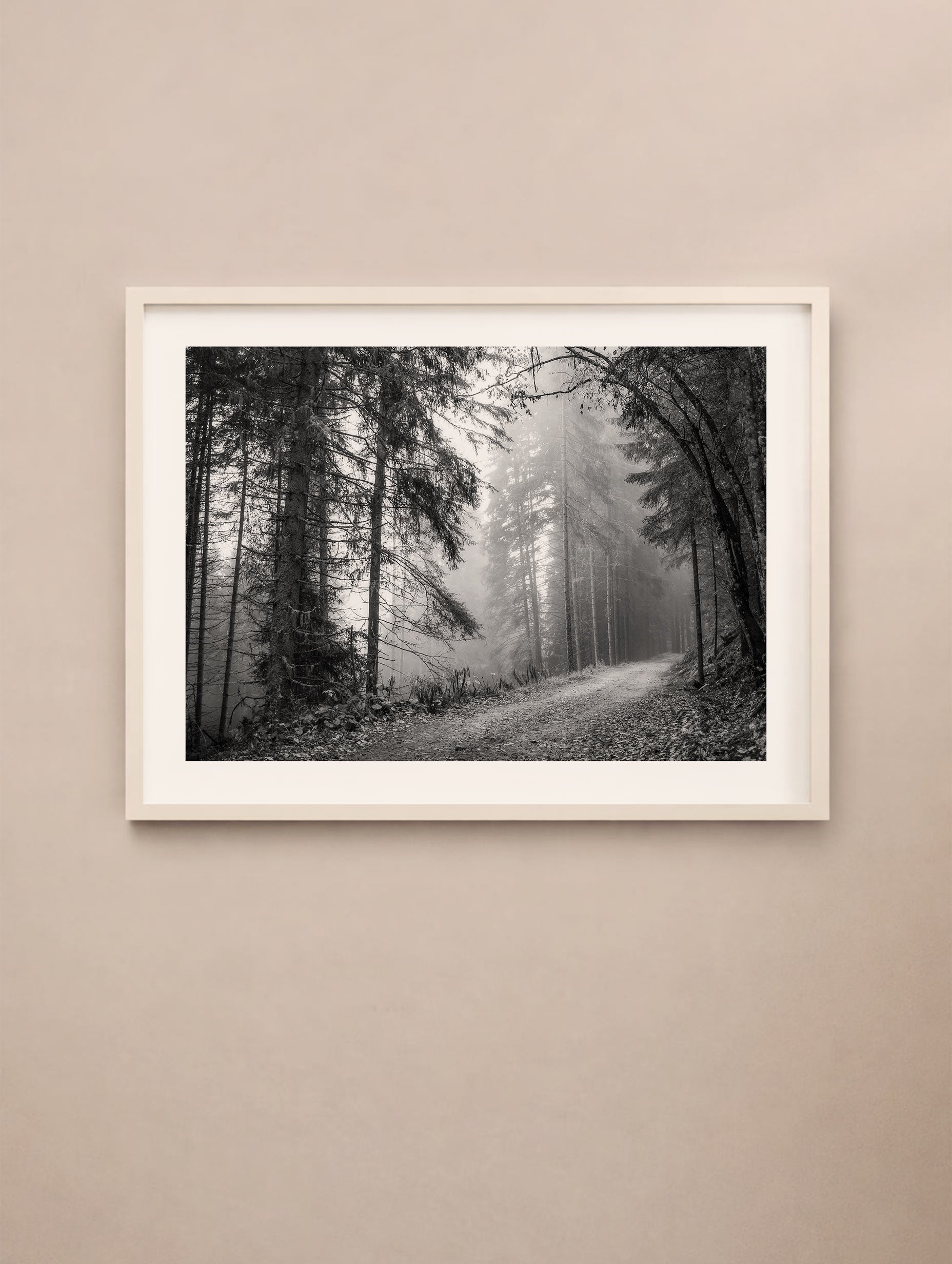 Pathway in a Foggy Woods Poster