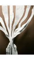 Photogram Print