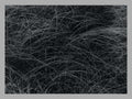 Rain Drops Alfred Stieglitz Art Print No 1