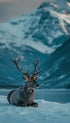 Reindeer Animal Photography Poster