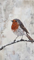 Robin Animal Art Print