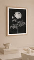 Rosa Rose with a brown feather Barbara Regina Dietzsch Art Print Mockup