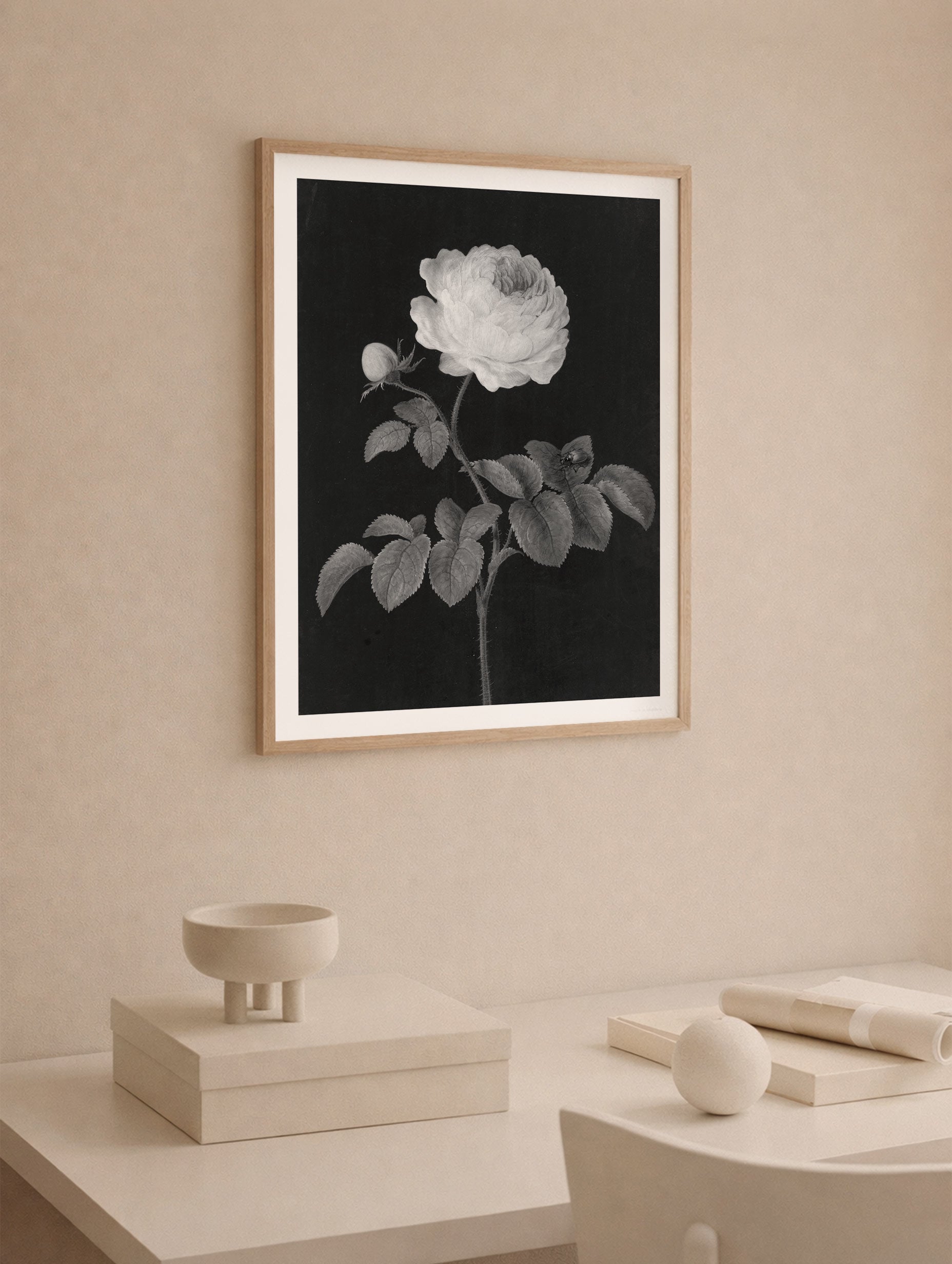 Rosa Rose with a brown feather Barbara Regina Dietzsch Art Print Mockup