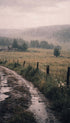 Rustic Path Through Misty Countryside Landscape Wall Art