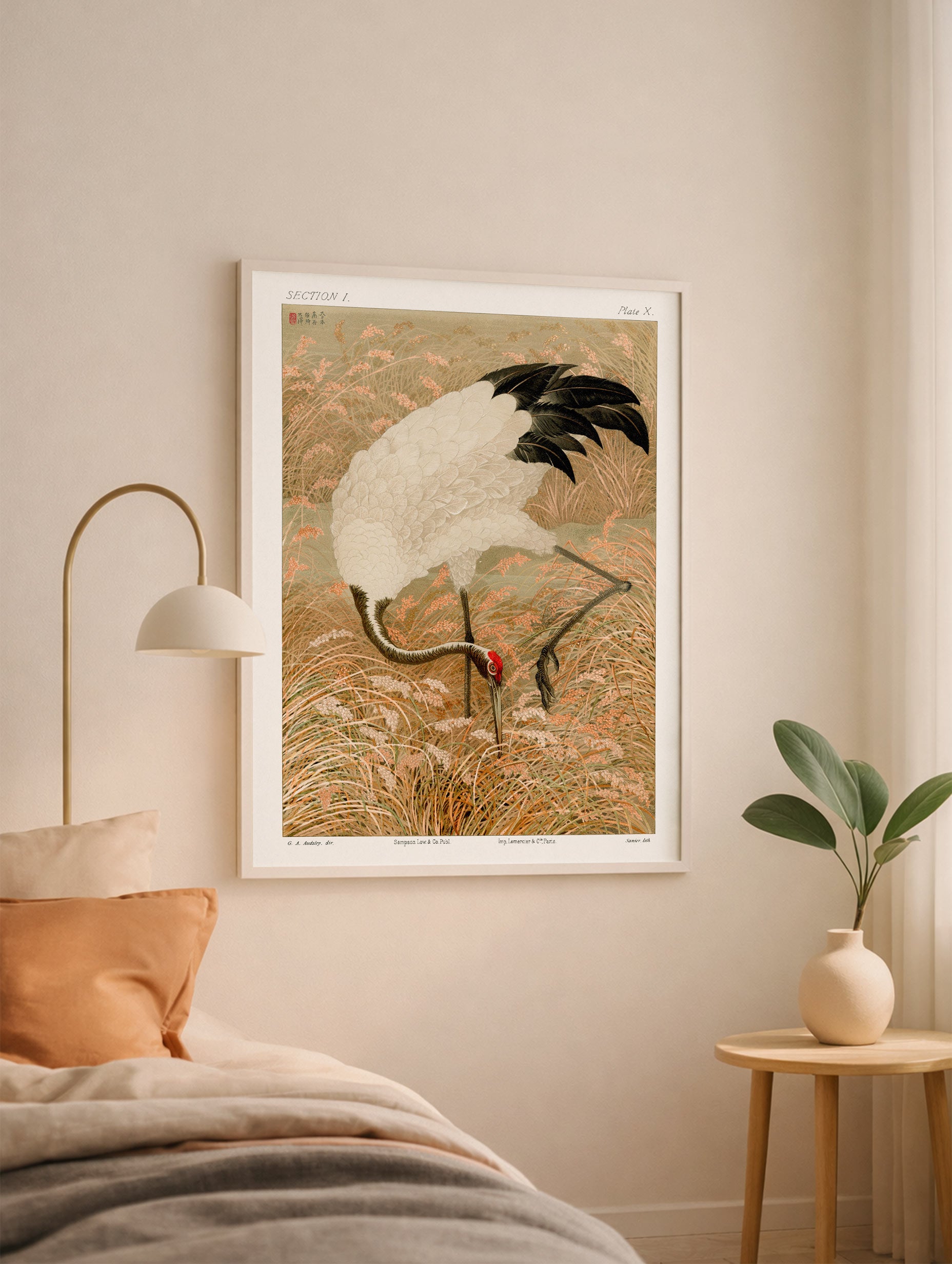 Sarus Crane in Rice Field G.A. Audsley Art Print Mockup