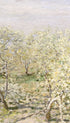 Spring (Fruit Trees in Bloom) Claude Monet Art Print