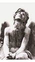 Statue of Angel in Florence Giulio Monteverde Art Print