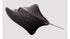Stingray Animal Poster