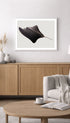 Stingray Animal Poster Mockup