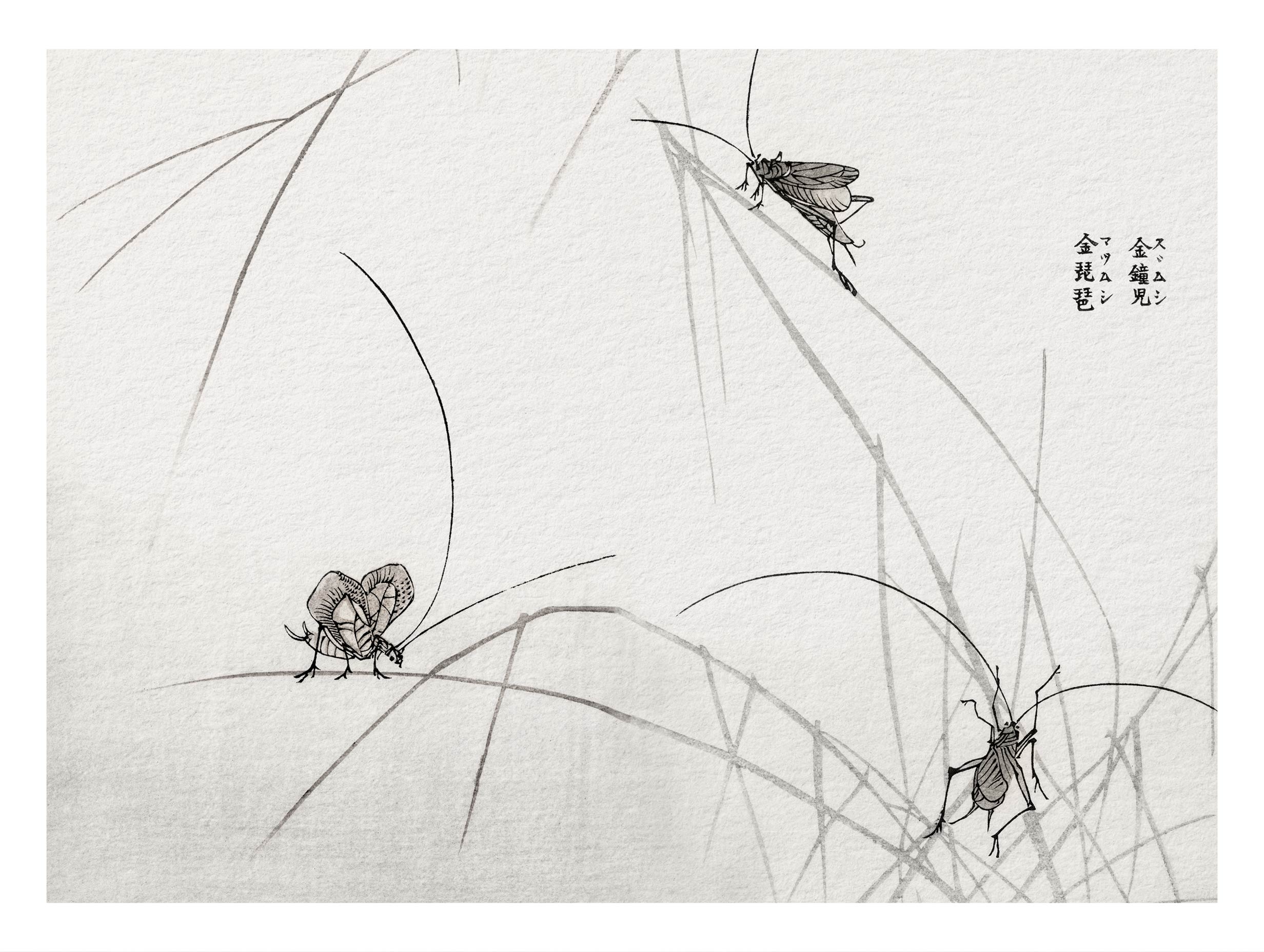 Suzumushi Bell Crickets Morimoto Toko Art Print