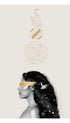 The Celestial Illustration Poster 
