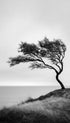 Tree by the Sea Ocean Wall Art