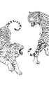 Twin Tigers Poster