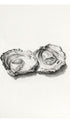 Two opened oysters No 2 - Jean Bernard Art Print