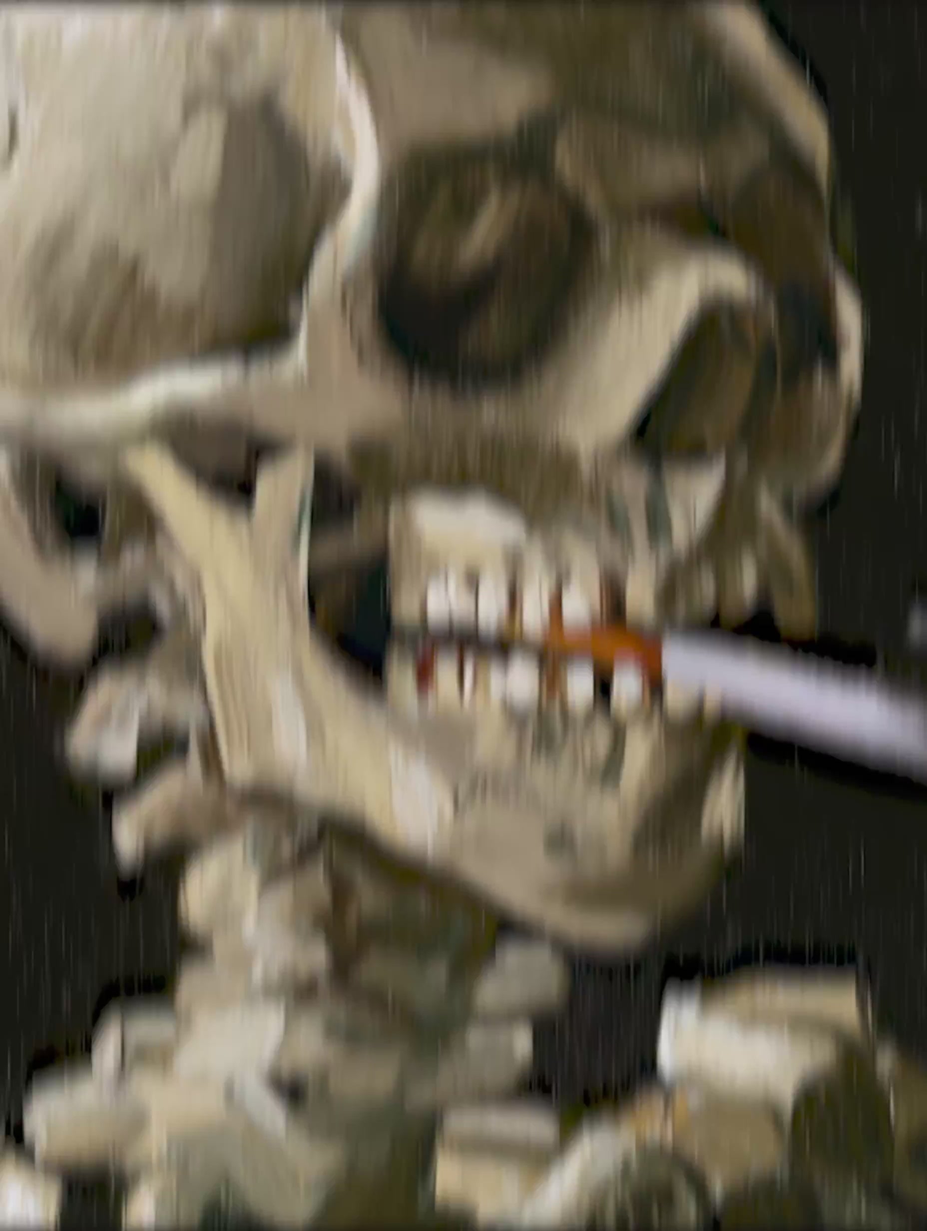 Skeletthuvud - Van Gogh